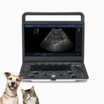 ecografo-veterinario-portatil